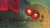 Image for Christmas Poinsettia