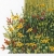 Image for School House
