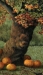 Image for Plott Creek Tree in Fall
